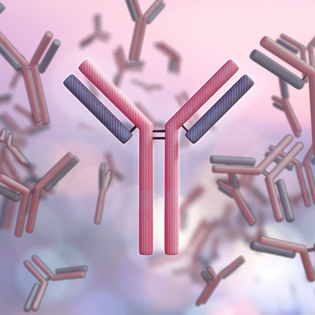 Stylized 3D Y‑shaped antibodies (immunoglobulins) floating on a soft pink‑purple background; one central antibody in sharp focus.
